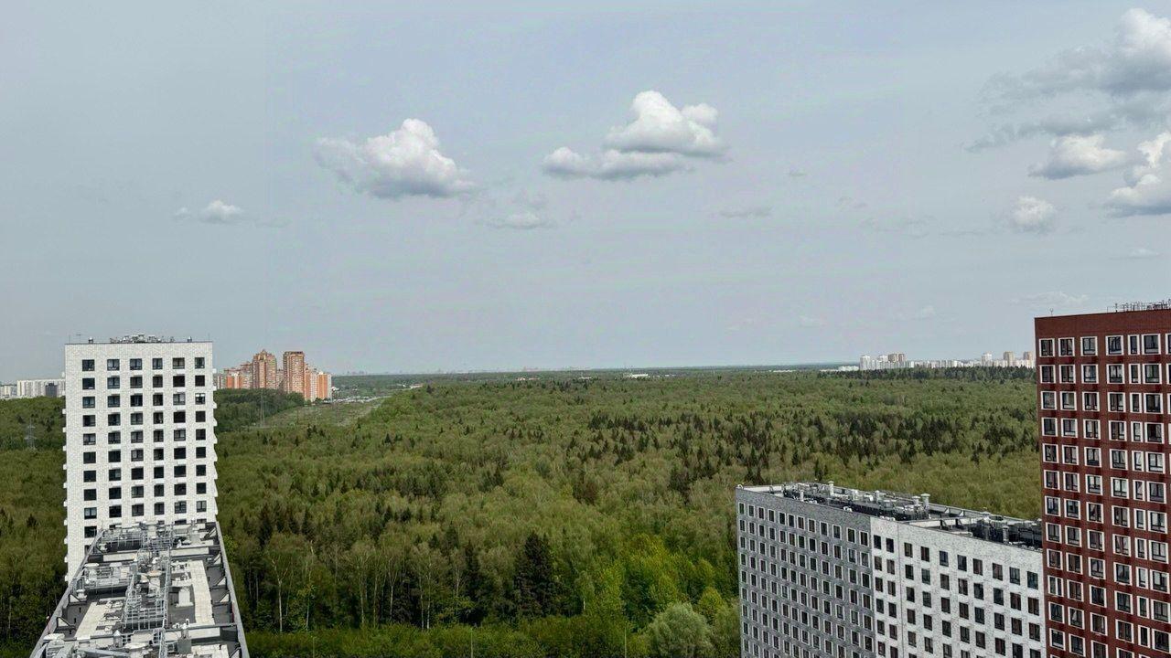 квартира г Балашиха ул Реутовская 11 Измайловский лес лес фото 17