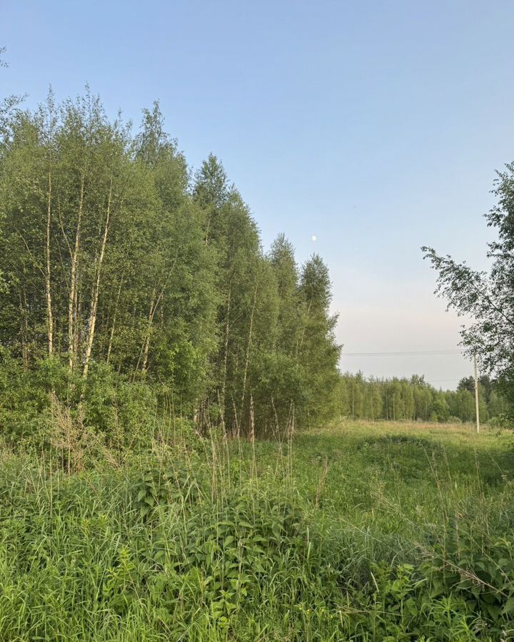 земля городской округ Богородский г Электроугли 22 км, КП Традиции, Носовихинское шоссе фото 11
