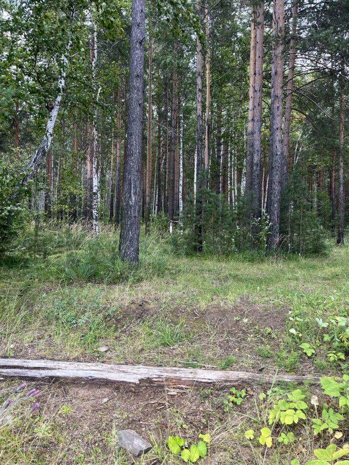 земля г Полевской с Курганово ул Свердлова Горный Щит фото 1
