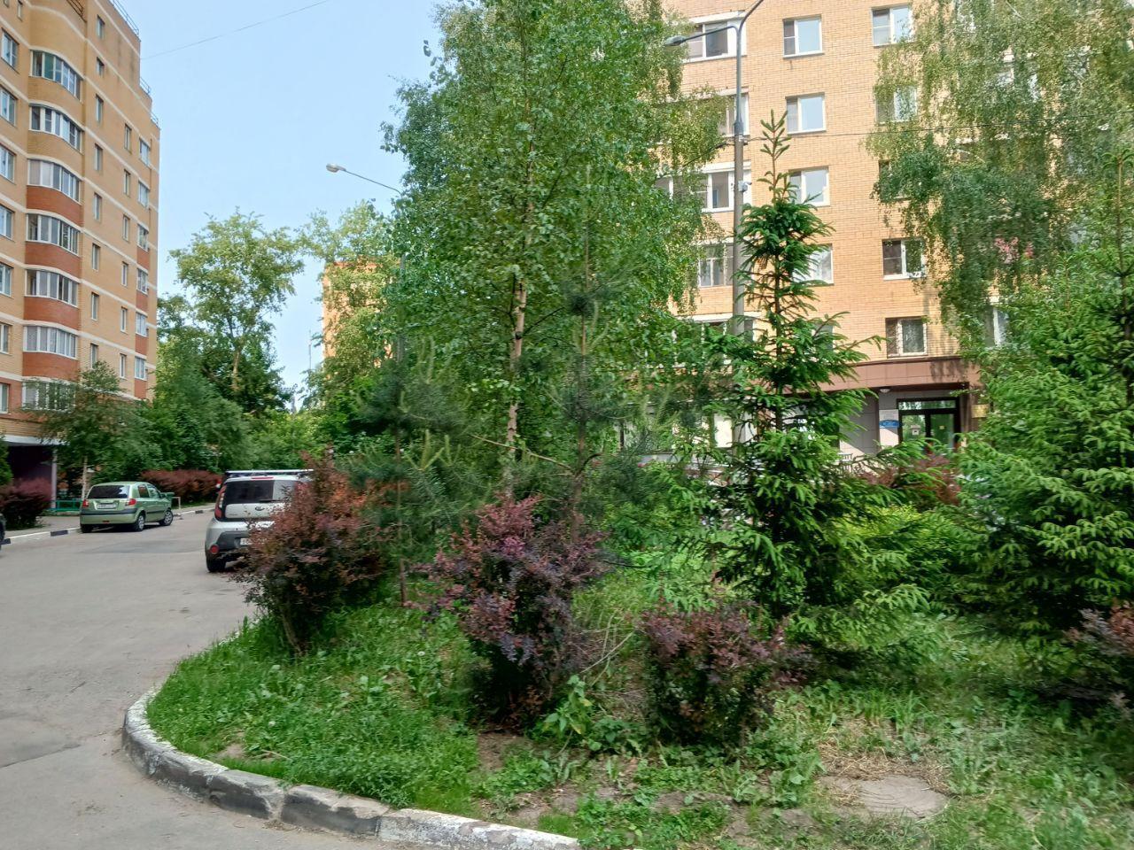 квартира городской округ Одинцовский г Голицыно бульвар Ремезова, 8 фото 17