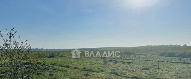 р-н Октябрьский ул Таганцева 1 фото