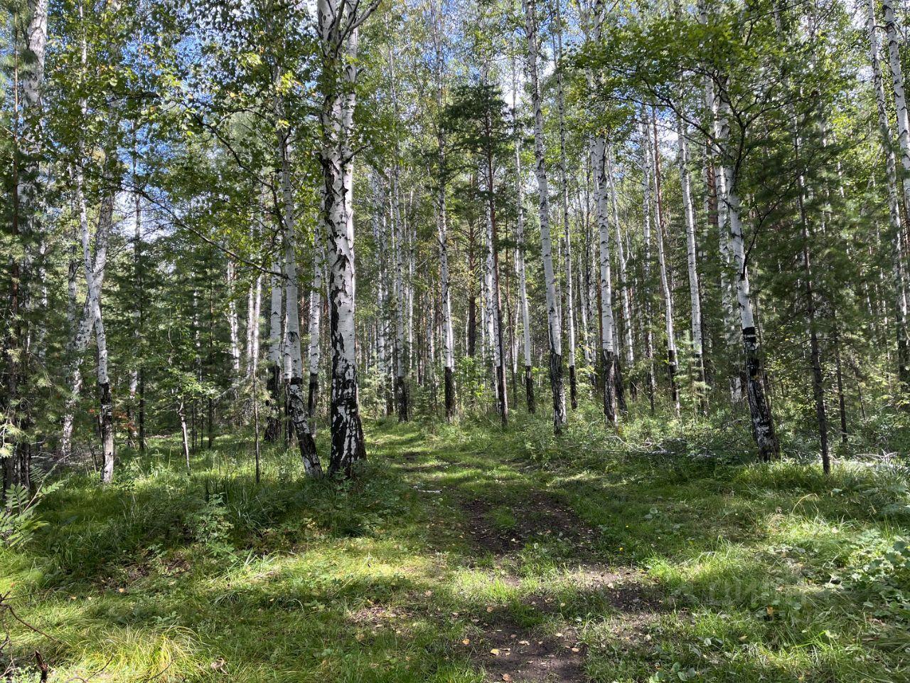 земля г Полевской с Курганово ул Свердлова Горный Щит фото 6
