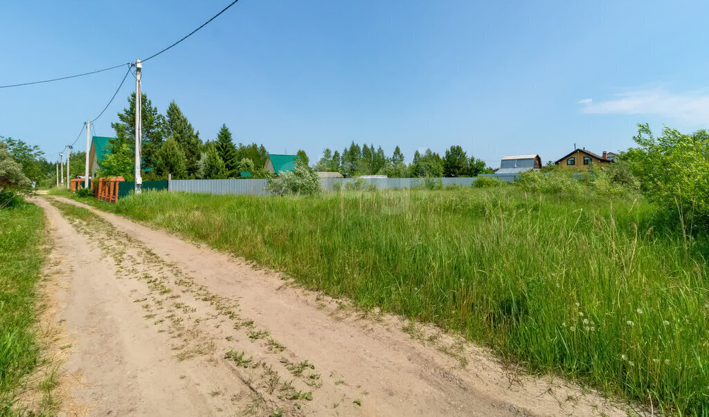 земля г Тюмень снт Липовый остров ул Западная 2-я фото 3