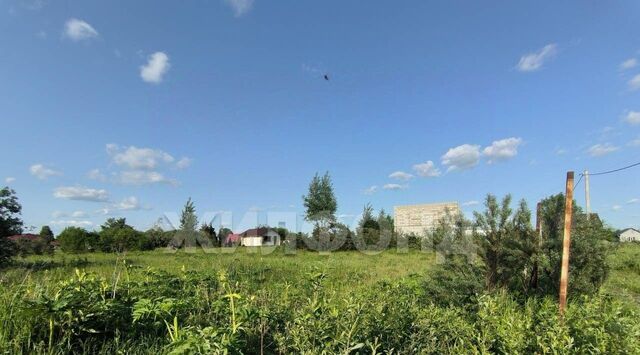 земля снт Озерное ул Вишневая ДНТ, Коченевский район фото