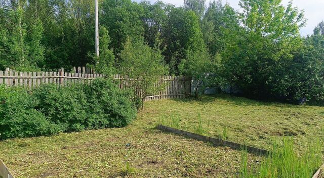 Огуречный пер, Кимры фото