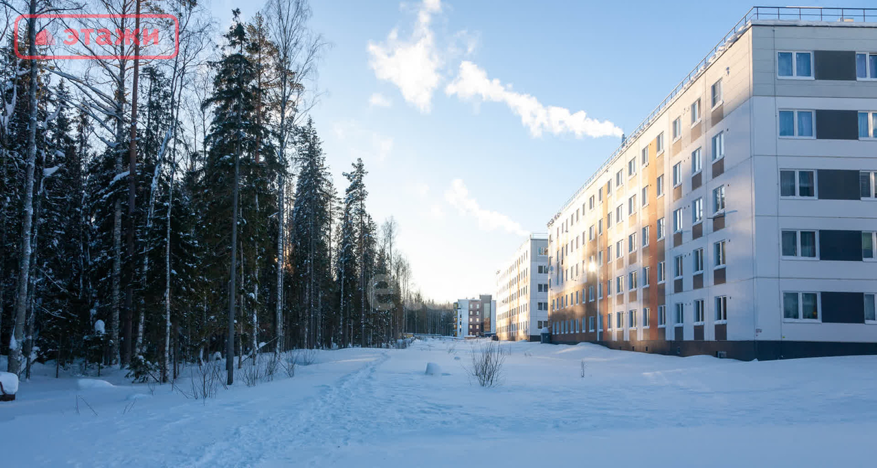 квартира г Петрозаводск Древлянка-7 Вьюжный проезд, 5 фото 40