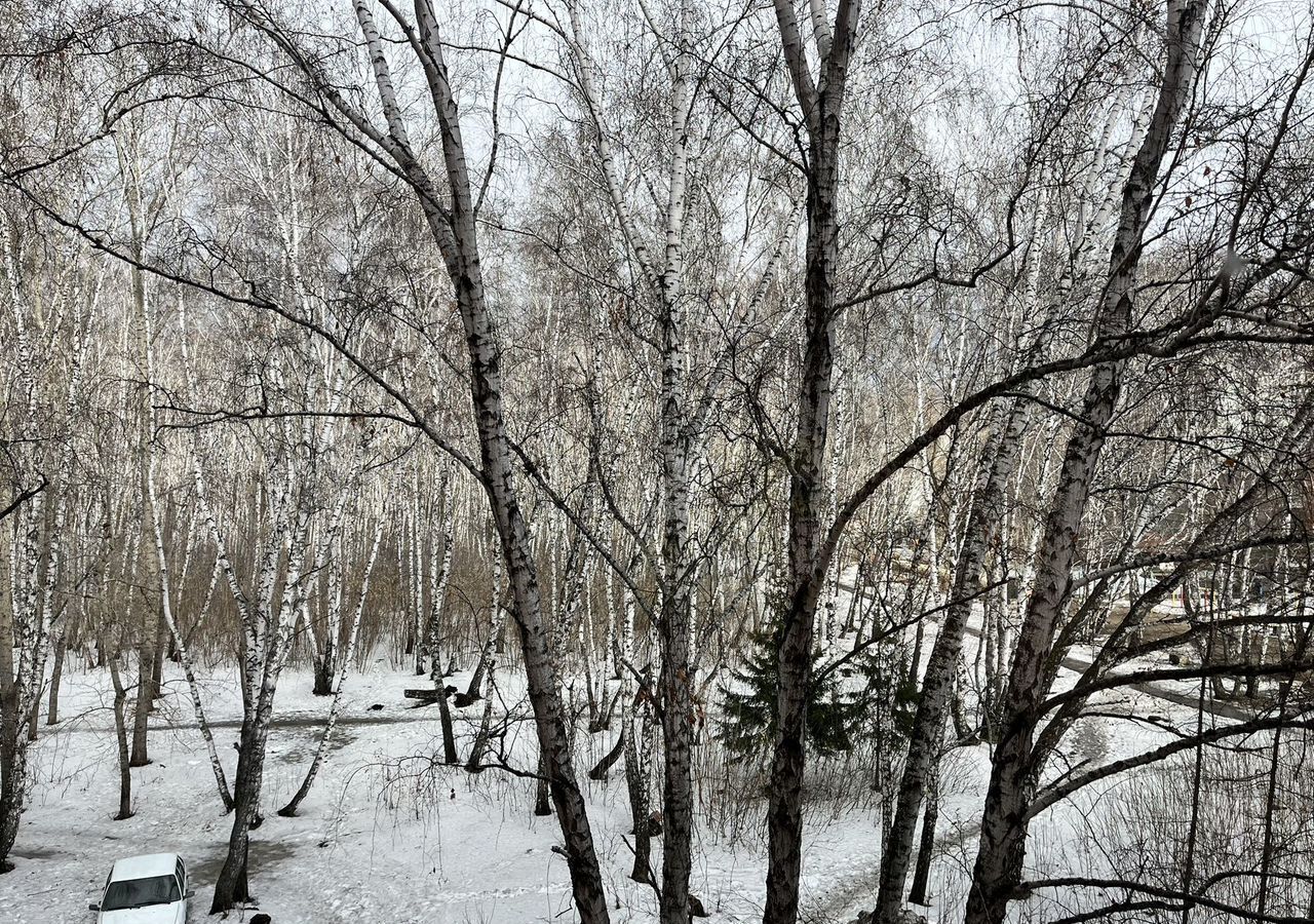комната г Омск р-н Октябрьский ул 3-я Молодежная 62к/1 фото 8
