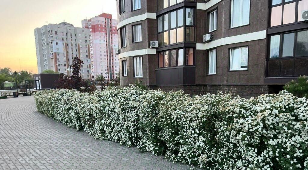 квартира г Брянск р-н Бежицкий мкр Московский 60 фото 35