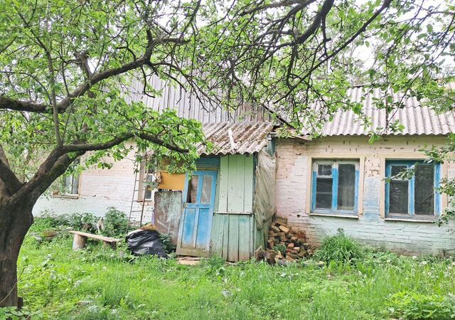 д Рыбки Сафоново фото