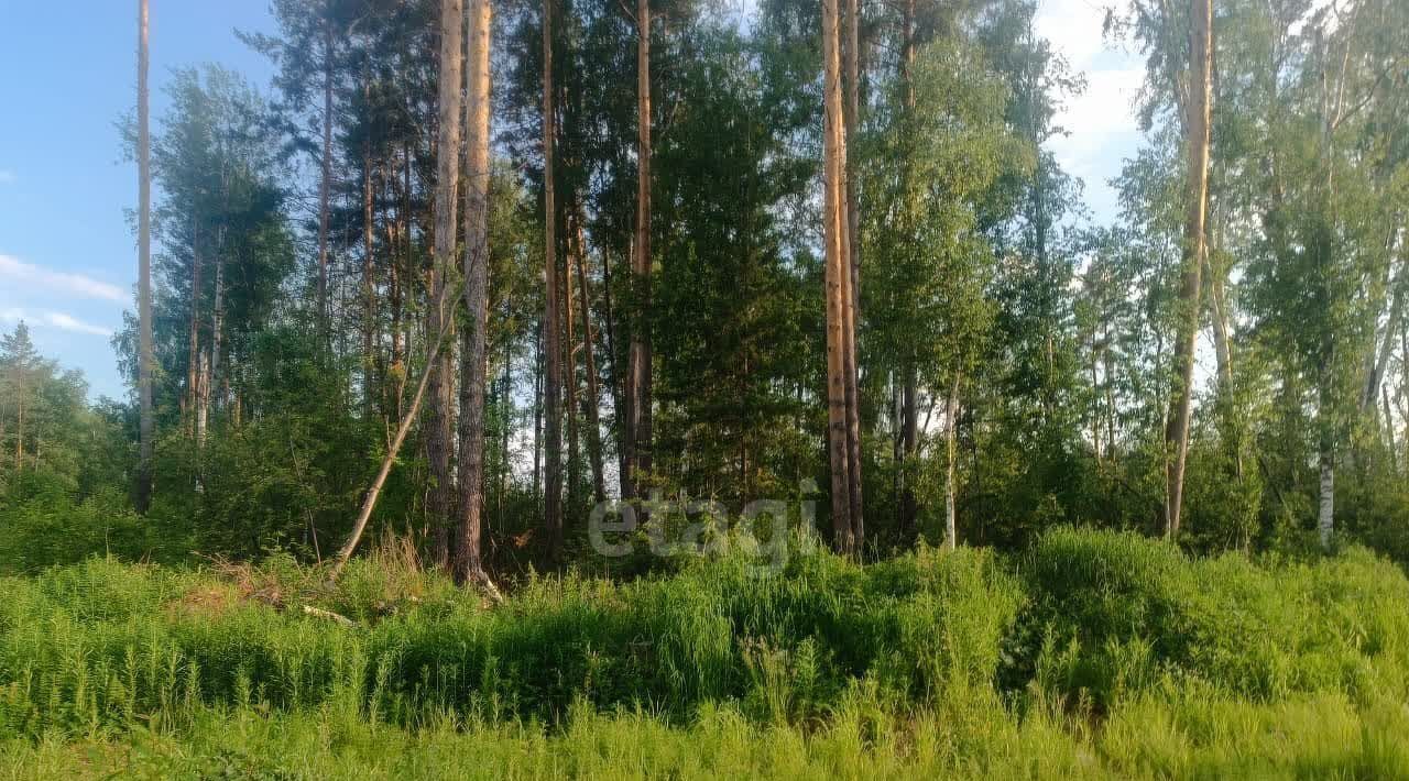 земля г Ревда с Кунгурка ул Рабоче-Крестьянская фото 1