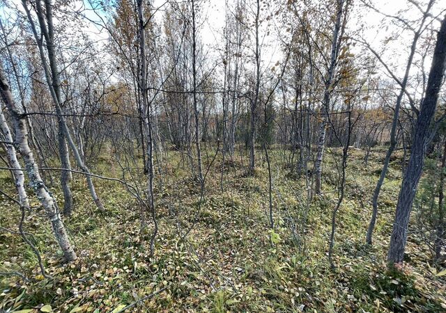снт тер.СН Свой дом городское поселение город Кола, 1, Кола фото