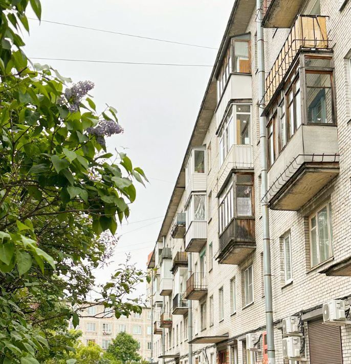 квартира г Сестрорецк ул Борисова 4 Беговая фото 1