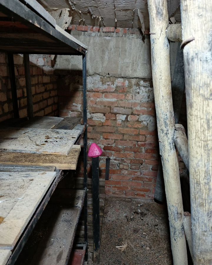 гараж г Королев мкр Юбилейный ул А.И.Нестеренко 23 фото 10
