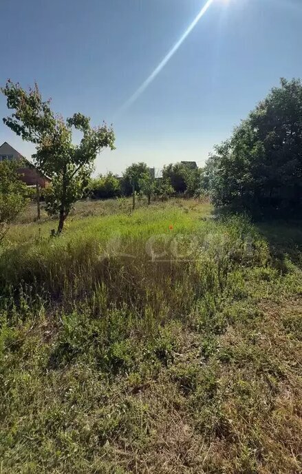 земля г Судак снт Ветеран посёлок городского типа Новоозёрное фото 3