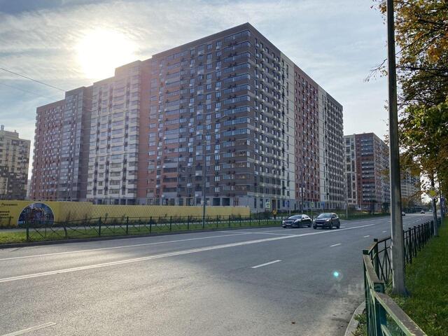 ул Просвещения 12/2 фото