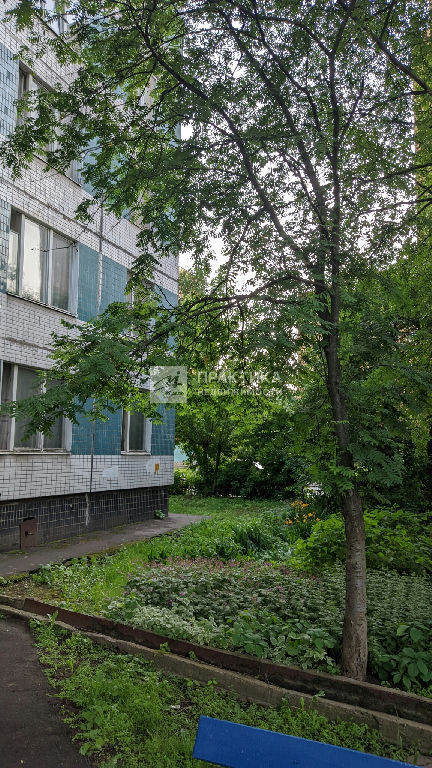 квартира г Королев ул Мичурина 7б фото 3