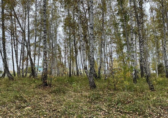 земля п Кировский Акбашевское сельское поселение, садовый, Челябинск, кооператив фото
