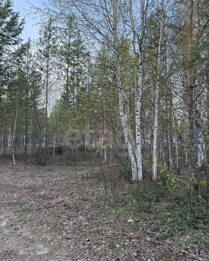 земля г Сургут СТ № 46 Урожай, 19-я линия, Тюменская обл. фото 2