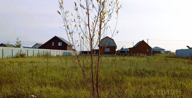 ул 2-я Лесная 37 км, городской округ Чехов, Столбовая, Симферопольское шоссе фото