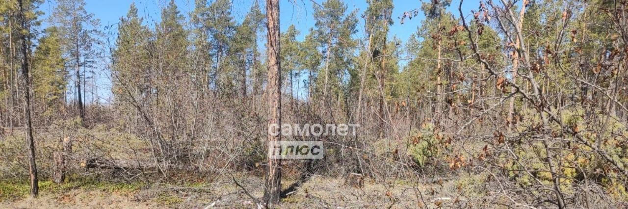 земля г Якутск фото 3