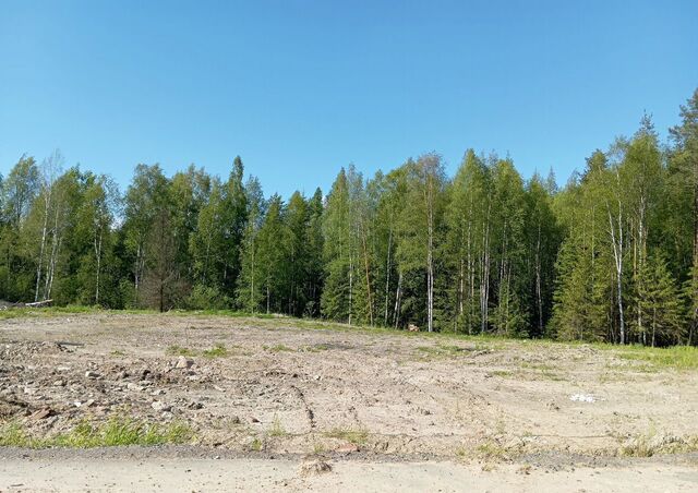5 км, Всеволожский р-н, Бугровское городское поселение, коттеджный пос. Хилл Сайд, Зелёная ул, Токсово, Ленинградское шоссе фото