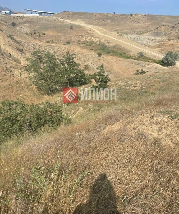 земля г Судак с Миндальное снт Меганом фото 5