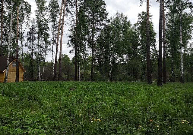 тер. ДНТ Царская Усадьба Кубовинский сельсовет, Новосибирск фото