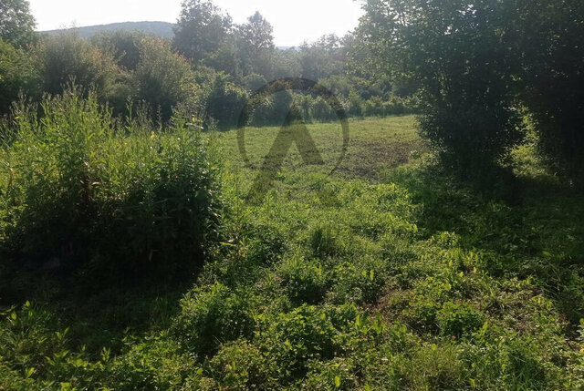 ул Кирова фото