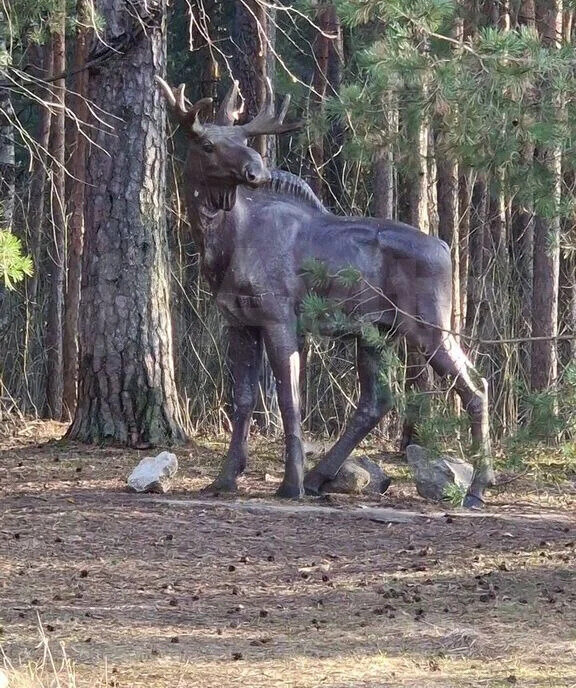 дом г Дубна ул Ратмино 9 фото 8
