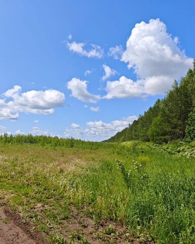 земля р-н Рыбно-Слободский с Балыклы-Чукаево Рыбная Слобода, Республика Татарстан Татарстан, Балыклы-Чукаевское сельское поселение фото