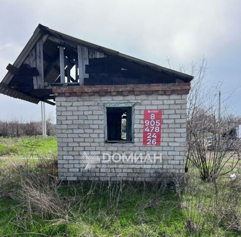 За Урожай дп, 103 фото