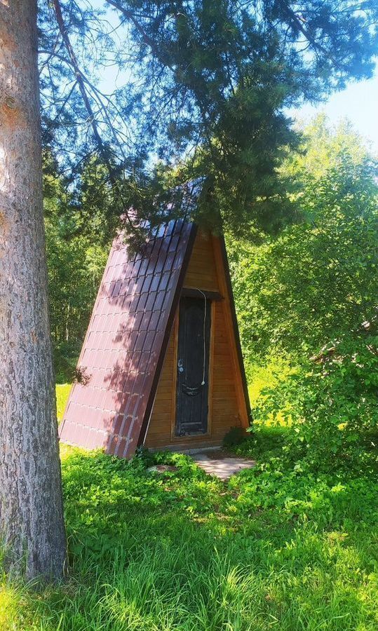 дом р-н Гдовский г Гдов д Лаптовицы фото 31