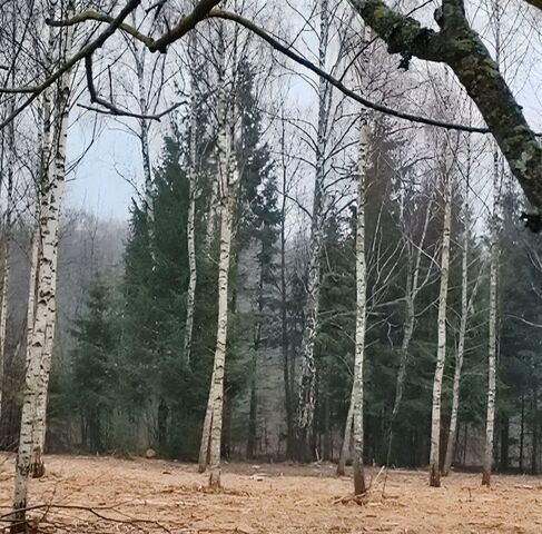 пер Колхозный фото