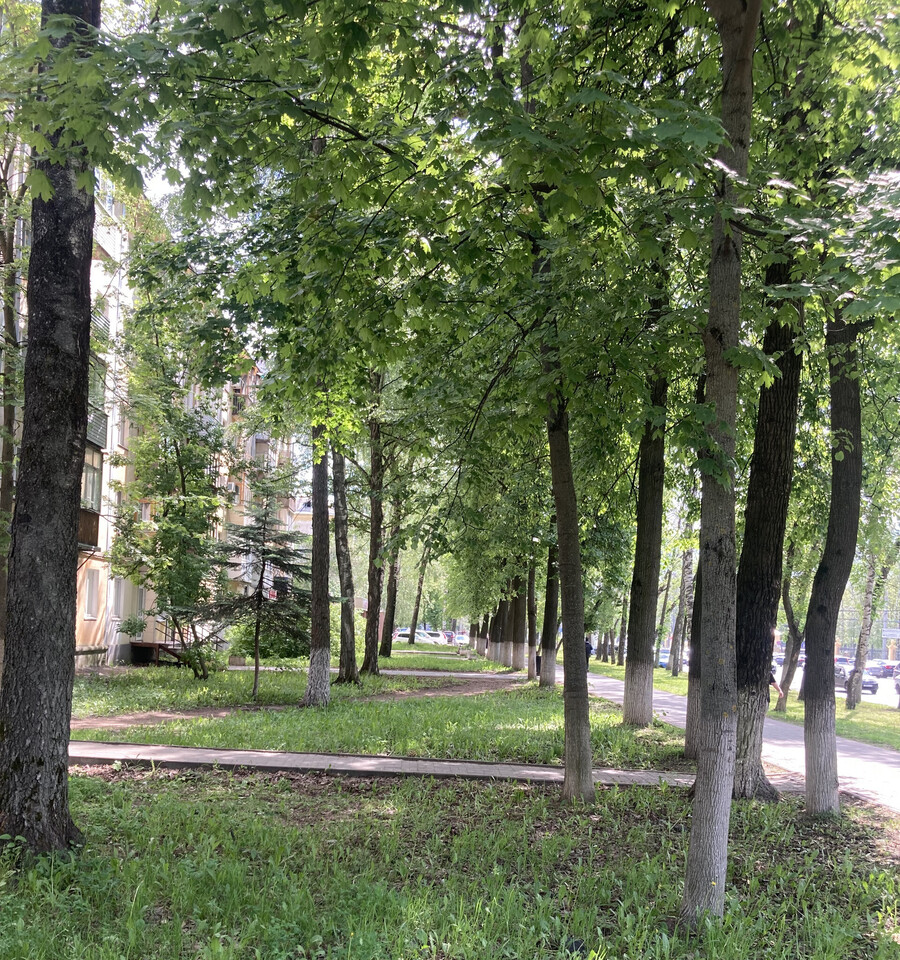 квартира г Нижний Новгород пр-кт Гагарина 62 фото 10
