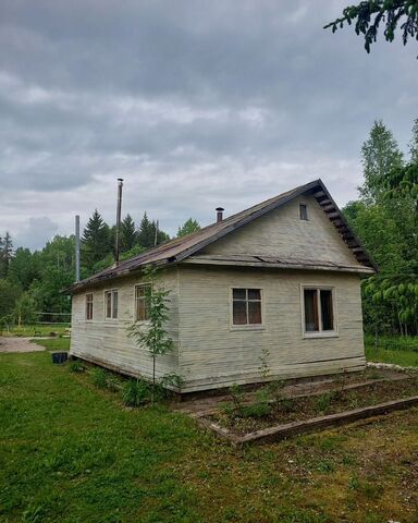 садово-огородническое товарищество Раглицы, Великий Новгород фото
