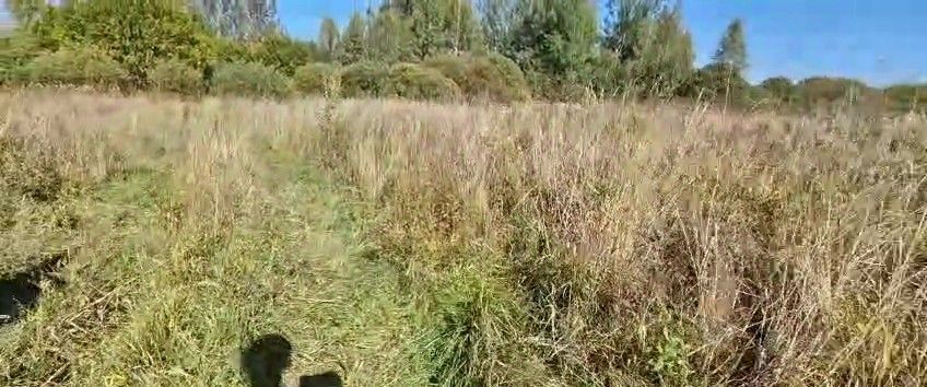 офис г Владимир р-н Ленинский ул Производственная фото 1