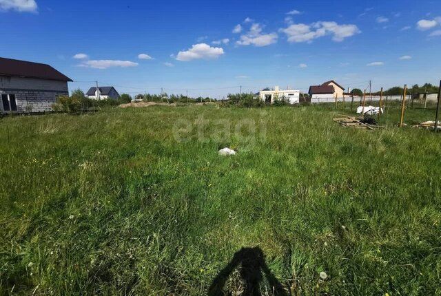 снт Светлогорское Зеленоградский муниципальный округ фото