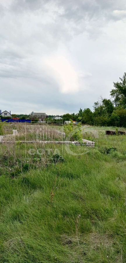 земля г Воронеж Никольское пос. совхоза Воронежский, Новоусманский р-н фото 1