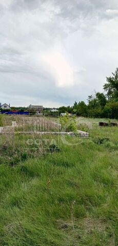пос. совхоза Воронежский, Новоусманский р-н фото
