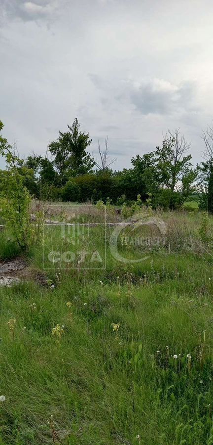 земля г Воронеж Никольское пос. совхоза Воронежский, Новоусманский р-н фото 4
