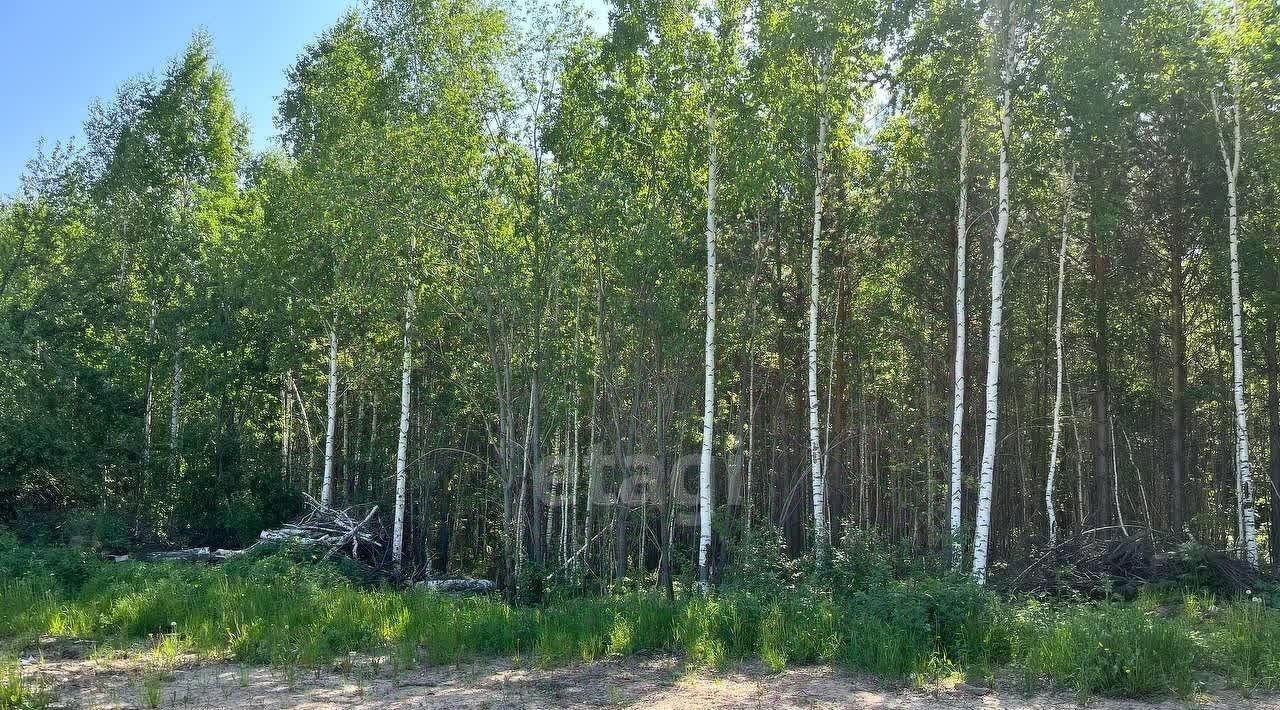 дом г Полевской с Курганово ул Елизаветинская 32 фото 3