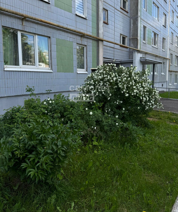 квартира г Ижевск р-н Индустриальный ул Михайлова 9а фото 13