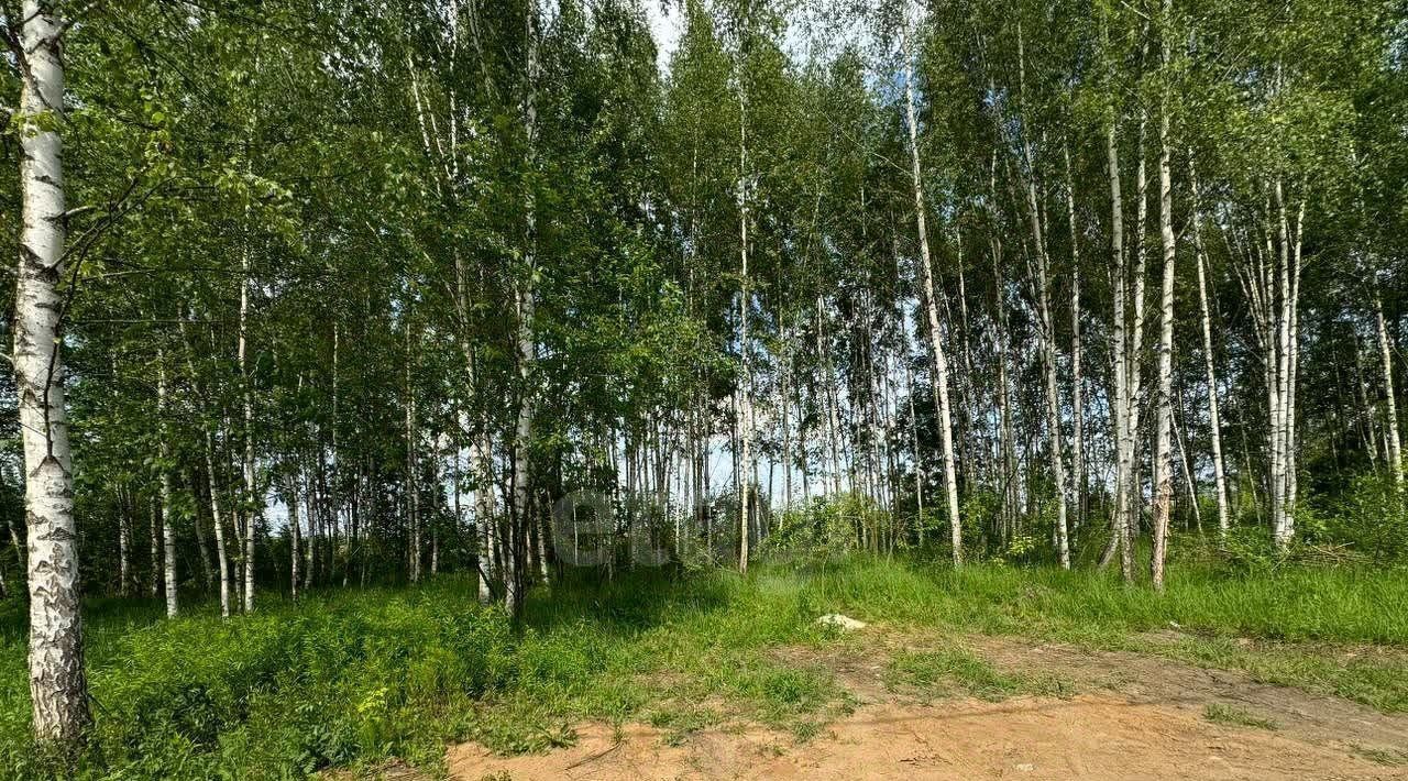 земля г Муром ул Парковая 33 фото 7