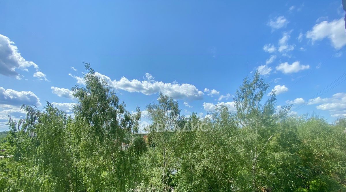 квартира г Смоленск р-н Промышленный пр-кт Гагарина 39 фото 8