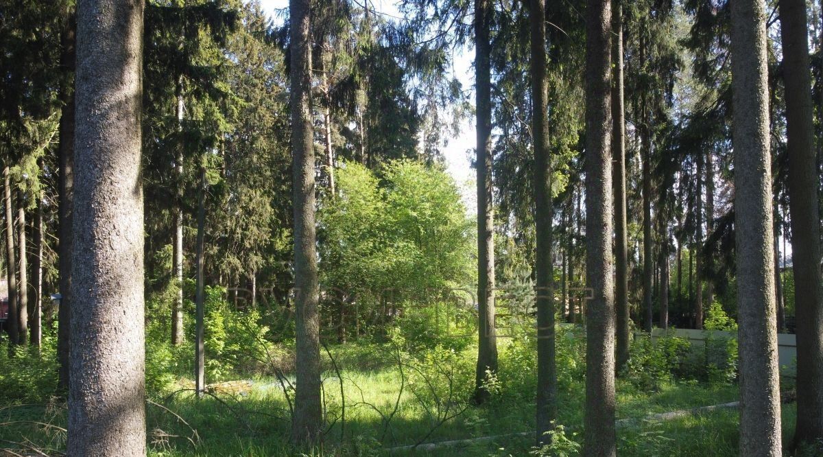 земля р-н Всеволожский г Всеволожск ул Каменерская Ладожская фото 1
