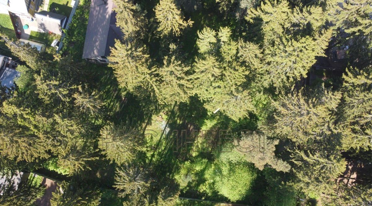 земля р-н Всеволожский г Всеволожск ул Каменерская Ладожская фото 2