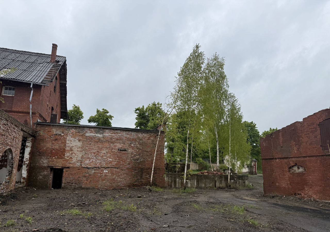 офис р-н Гвардейский г Гвардейск ул Заводская 1 фото 13