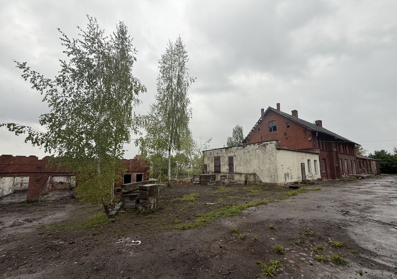 офис р-н Гвардейский г Гвардейск ул Заводская 1 фото 23