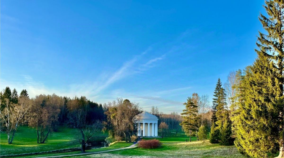 земля г Пушкин ул Камероновская метро Купчино фото 19