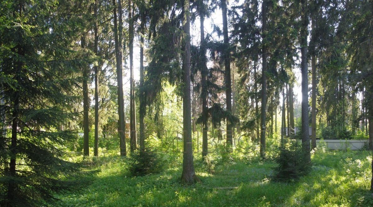 земля р-н Всеволожский г Всеволожск ул Каменерская Ладожская фото 8
